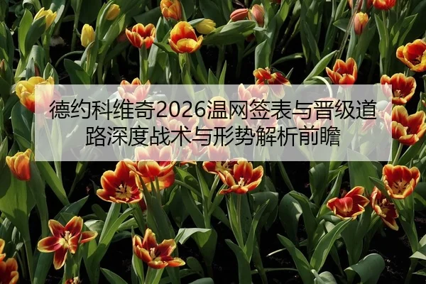 德约科维奇2026温网签表与晋级道路深度战术与形势解析前瞻