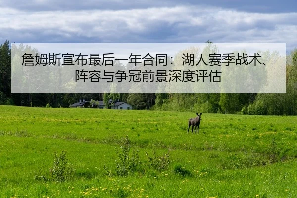 zhan-mu-si-xuan-bu-zui-hou-yi-nian-he-tong-hu-ren-sai-ji-zhan-shu-zhen-rong-yu-zheng-guan-qian-jing-shen-du-ping-gu-2-743.jpg